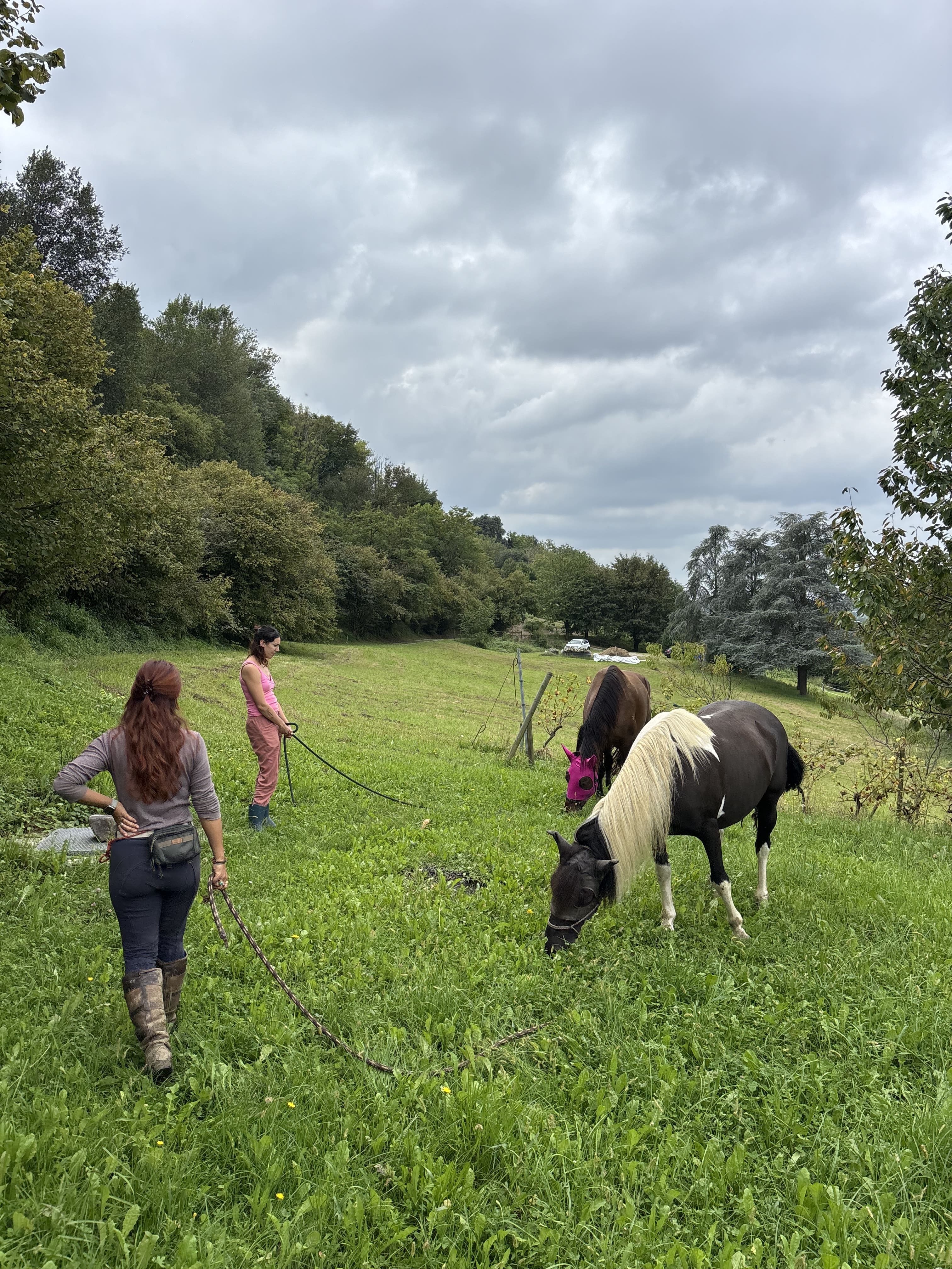 Passeggiata a mano in compagnia